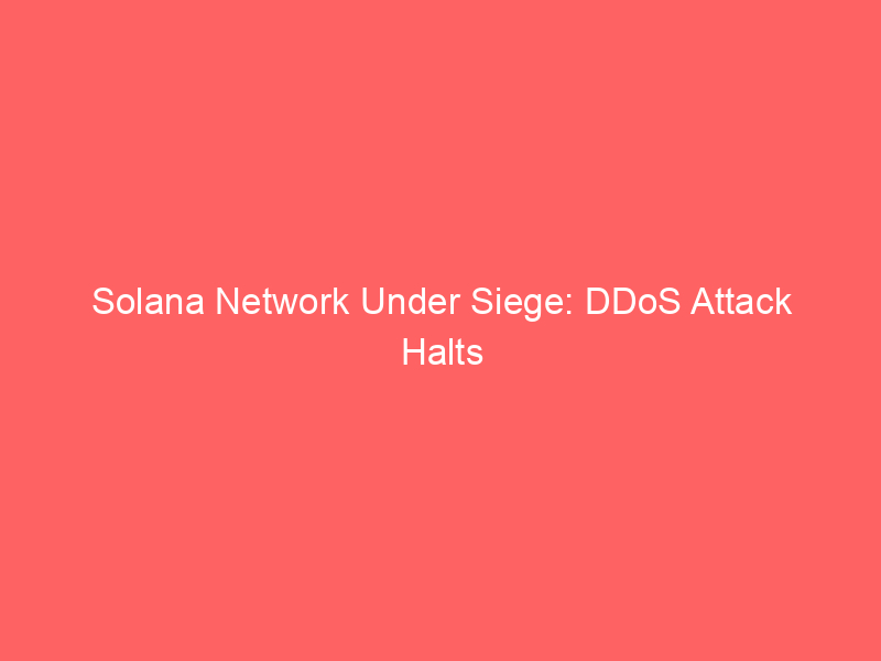 Solana Network Under Siege: DDoS Attack Halts Transactions Amidst Viral Meme Coin Frenzy Solana Network Under Siege: DDoS Attack Halts Transactions Amidst Viral Meme Coin Frenzy