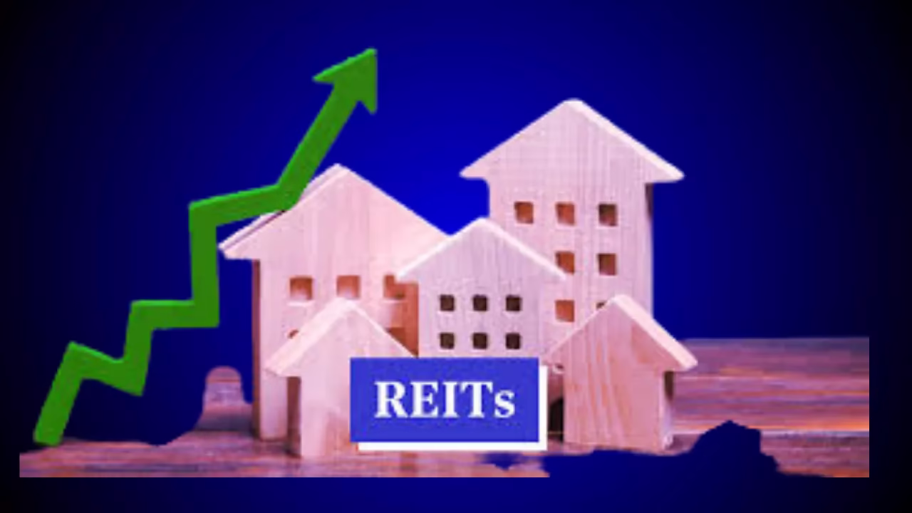 reinvest REIT dividends